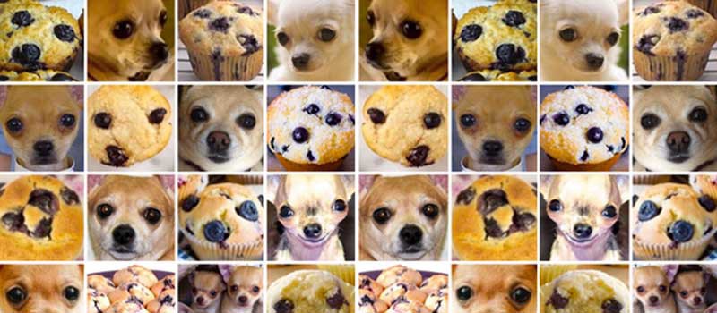 Dogs or Muffins Image